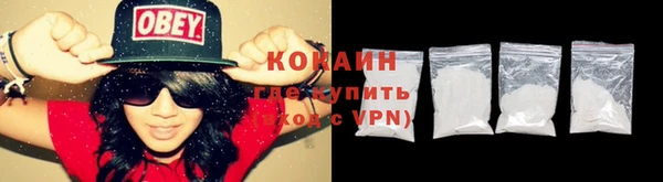 молекула духа Балахна