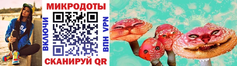 купить   Юрьев-Польский  ссылка на мегу как зайти  Псилоцибиновые грибы ЛСД 